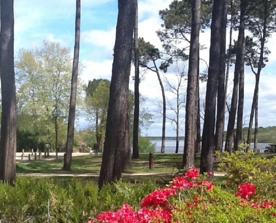 Hotel Au Bon Coin Du Lac Mimizan-Plage Екстериор снимка
